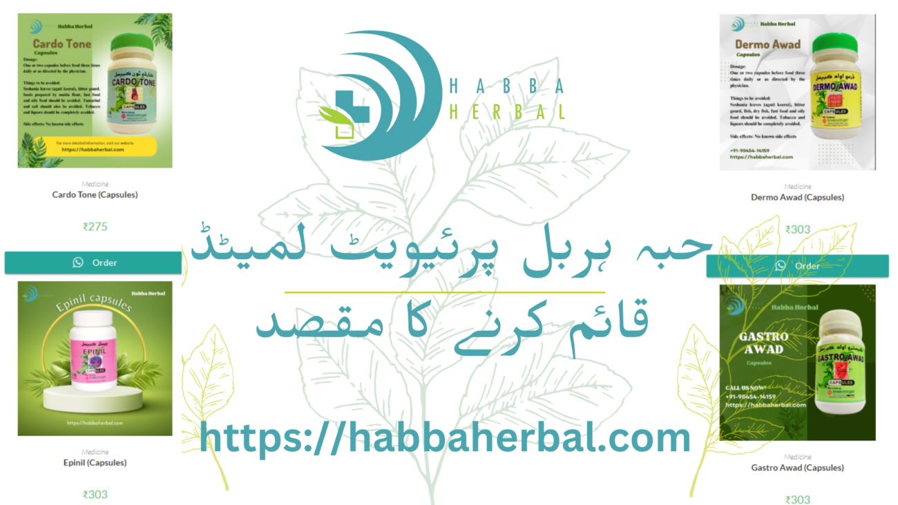 habba blog post banner