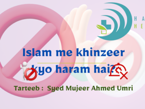 habba blog post banner (2)